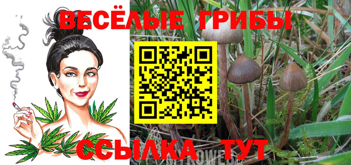 Псилоцибиновые грибы ЛСД  Псилоцибиновые грибы MAGIC MUSHROOMS  Вход с VPN  Кировск 